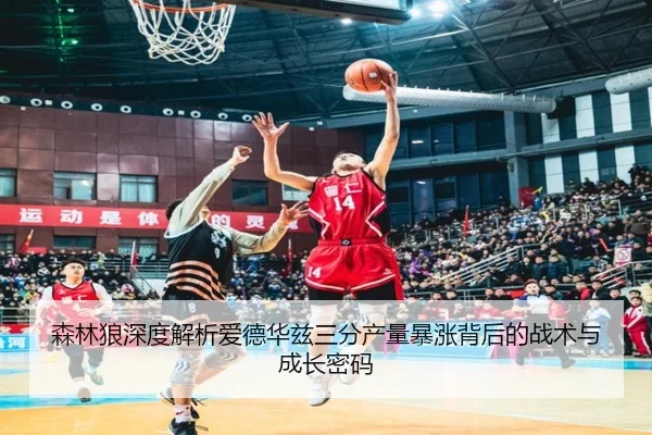 森林狼深度解析爱德华兹三分产量暴涨背后的战术与成长密码